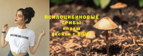прущие грибы Армянск
