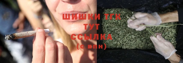 прущие грибы Армянск