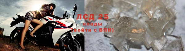 кокс Баксан