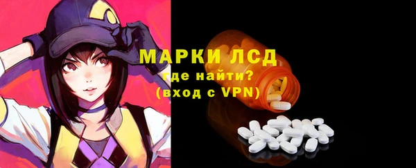 прущие грибы Армянск